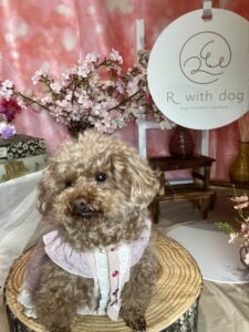 仙台ペット宿R with dogご宿泊わんちゃんのご紹介