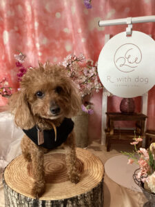 仙台ペット宿R with dogご宿泊わんちゃんのご紹介