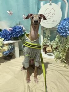 仙台ペット宿R with dogご宿泊頂きましたわんちゃんのご紹介