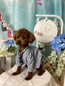 仙台ペット宿R with dogご宿泊頂きましたわんちゃんのご紹介