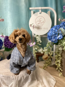 仙台ペット宿R with dogご宿泊わんちゃんのご紹介