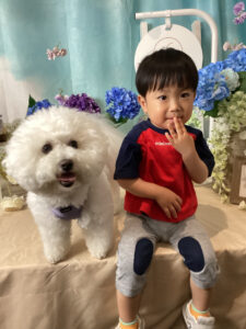 仙台ペット宿R with dogご宿泊わんちゃんのご紹介