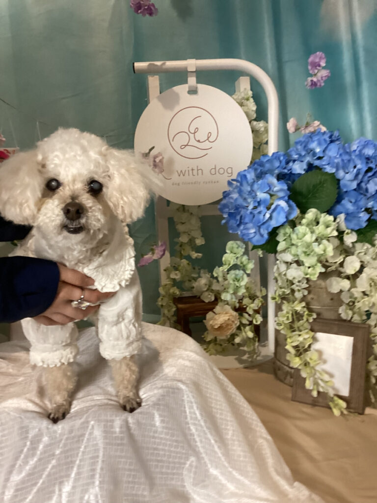 仙台ペット宿R with dogご宿泊わんちゃんのご紹介