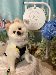 仙台ペット宿R with dogご宿泊わんちゃんのご紹介