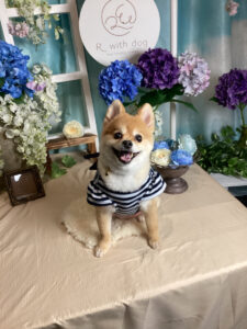 仙台ペット宿R with dogご宿泊わんちゃんのご紹介