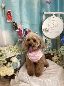 仙台ペット宿R with dogご宿泊頂きましたわんちゃんのご紹介