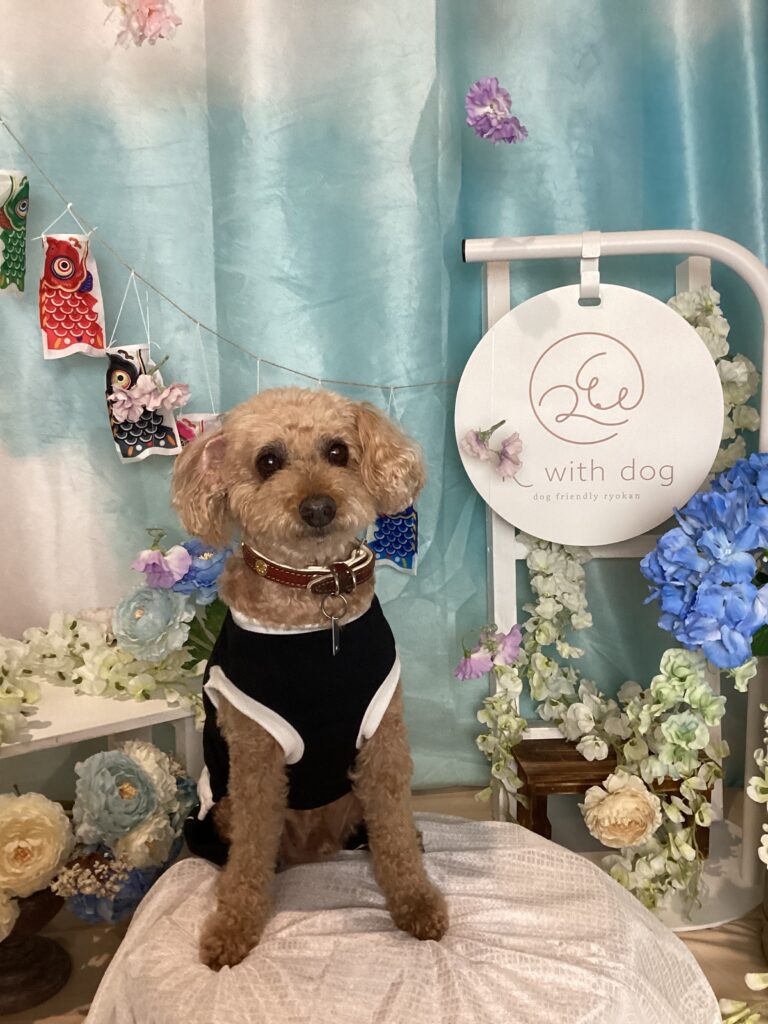仙台ペット宿R with dogご宿泊頂きましたわんちゃんのご紹介