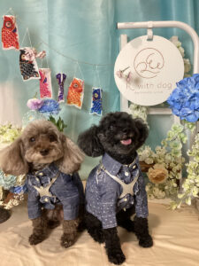 仙台ペット宿R with dogご宿泊わんちゃんのご紹介