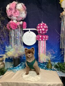 仙台ペット宿 R with dogご宿泊頂きましたわんちゃんのご紹介