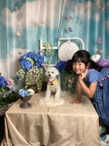 仙台ペット宿R with dogご宿泊頂きましたわんちゃんのご紹介