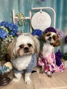 仙台ペット宿　R with dogご宿泊頂きましたわんちゃんのご紹介