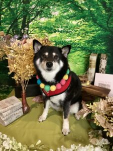仙台ペット宿R with dogご宿泊頂きましたわんちゃんのご紹介