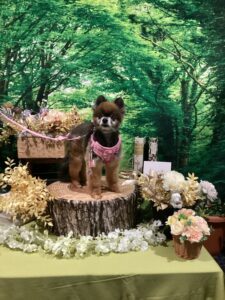 仙台ペット宿R with dogご宿泊頂きましたわんちゃんのご紹介