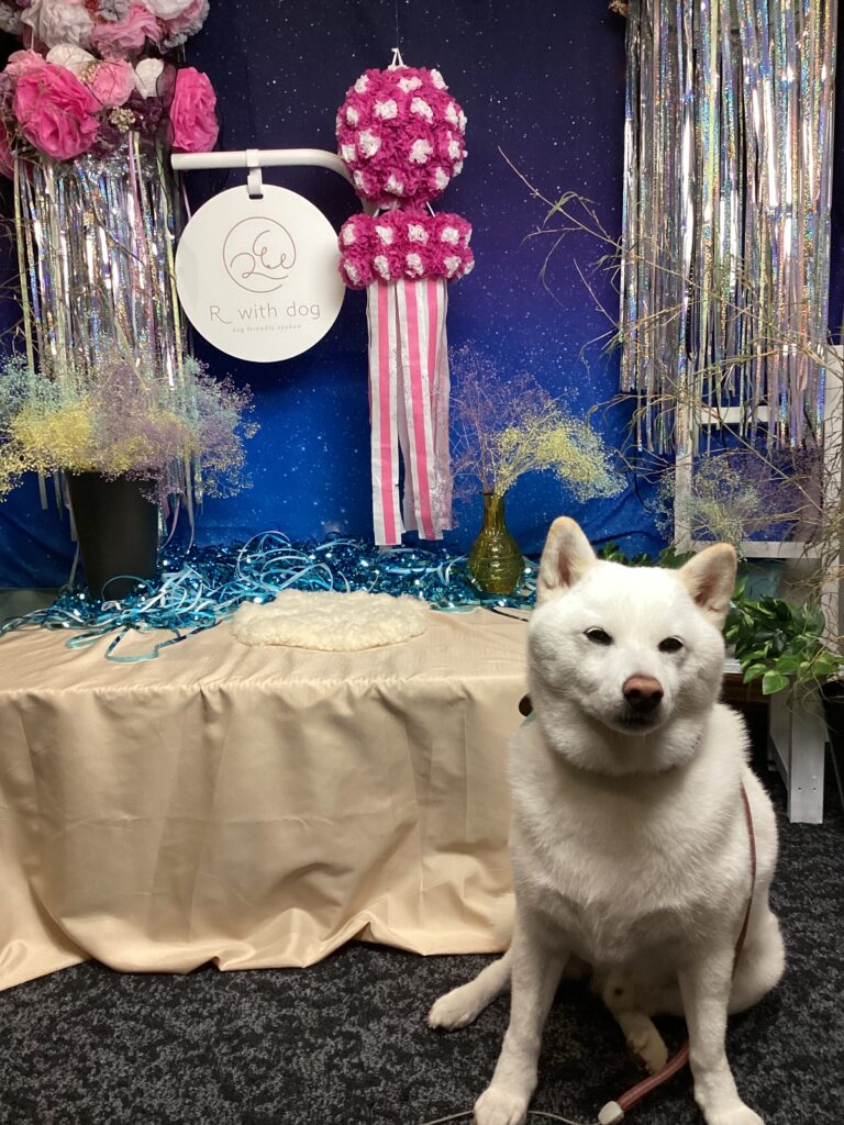 仙台ペット宿R with dogご宿泊わんちゃんのご紹介