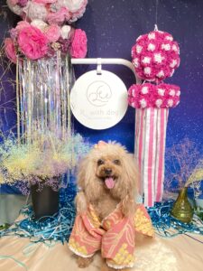 仙台ペット宿R with dogご宿泊頂きましたわんちゃんのご紹介