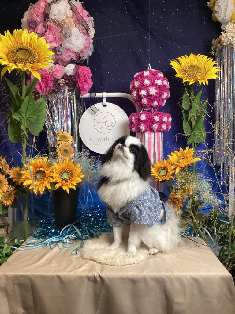 仙台ペット宿R with dog ご宿泊わんちゃんのご紹介