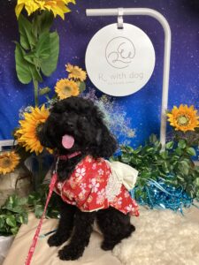 仙台ペット宿R with dogご宿泊頂きましたわんちゃんのご紹介