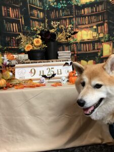 仙台ペット宿R with dogご宿泊わんちゃんのご紹介