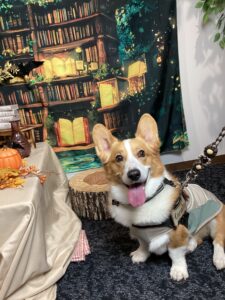 仙台ペット宿R with dogご宿泊いただきましたわんちゃんのご紹介