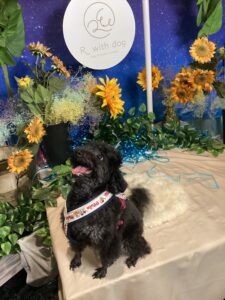 仙台ペット宿Ｒwithdogご宿泊頂きましたわんちゃんのご紹介