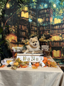 仙台ペット宿R with dogご宿泊わんちゃんのご紹介