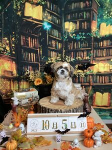 仙台ペット宿R with dogご宿泊いただきましたわんちゃんのご紹介