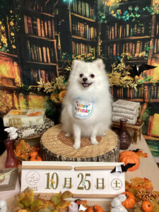 仙台ペット宿R with dogご宿泊わんちゃんのご紹介