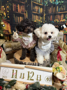 仙台ペット宿R with dogご宿泊わんちゃんのご紹介