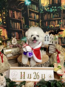 仙台ペット宿R with dogご宿泊頂きましたわんちゃんのご紹介