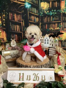 仙台ペット宿R with dogご宿泊頂きましたわんちゃんのご紹介