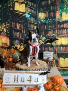 仙台ペット宿R with dogご宿泊わんちゃんのご紹介