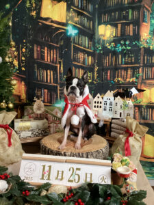 仙台ペット宿R with dogご宿泊わんちゃん