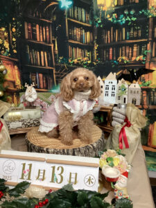 仙台ペット宿R with dogご宿泊わんちゃんのご紹介