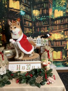 仙台ペット宿　R with dogご宿泊頂きましたわんちゃんのご紹介
