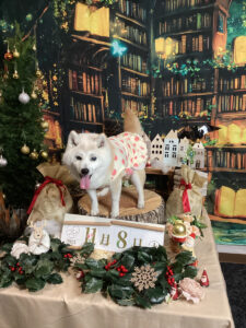 仙台ペット宿R with dogご宿泊わんちゃんのご紹介