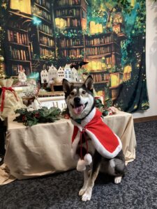 仙台ペット宿R with dogご宿泊わんちゃんのご紹介