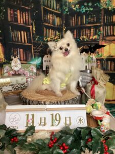 仙台ペット宿R with dogご宿泊わんちゃんのご紹介