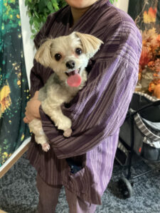 仙台ペット宿R with dogご宿泊わんちゃんのご紹介