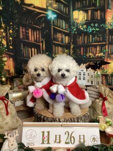 仙台ペット宿R with dogご宿泊頂きましたわんちゃんのご紹介