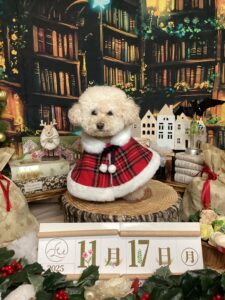 仙台ペット宿R with dogご宿泊頂きましたわんちゃんのご紹介