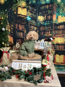 仙台ペット宿R with dogご宿泊わんちゃんのご紹介