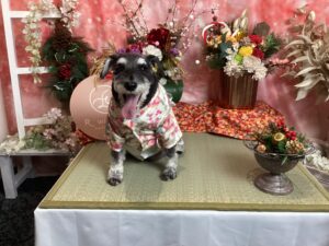 仙台ペット宿R with dogご宿泊頂きましたわんちゃんのご紹介