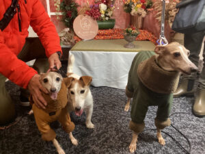 仙台ペット宿R with dogご宿泊頂きましたわんちゃんのご紹介