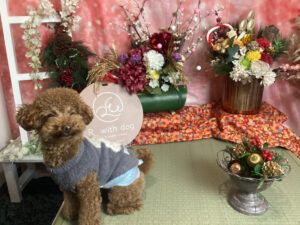 仙台ペット宿R with dogご宿泊わんちゃんのご紹介