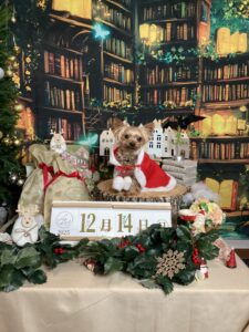 仙台ペット宿R with dogご宿泊頂きましたわんちゃんのご紹介