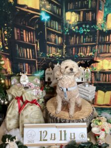 仙台ペット宿R with dogご宿泊頂きましたわんちゃんのご紹介