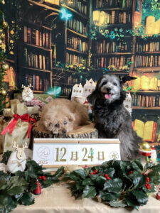 仙台ペット宿R with dogご宿泊頂きましたわんちゃんのご紹介