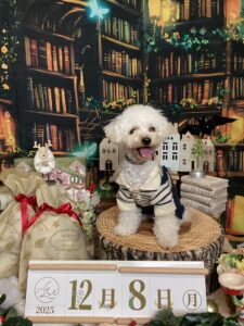 仙台ペット宿R with dogご宿泊頂きましたわんちゃんのご紹介