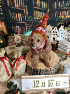 仙台ペット宿R with dogご宿泊わんちゃんのご紹介