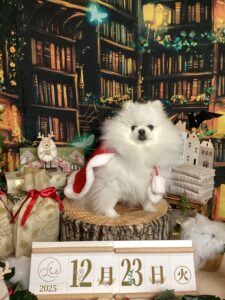 仙台ペット宿R with dogご宿泊頂きましたわんちゃんのご紹介